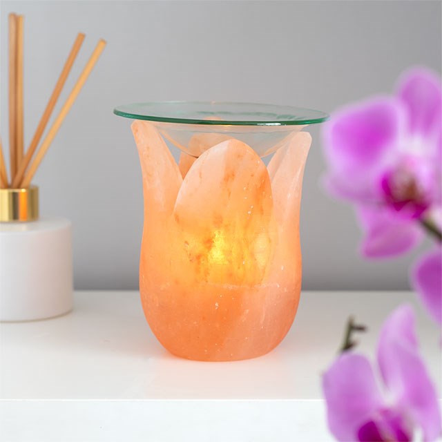 SALT LAMP OIL BURNER